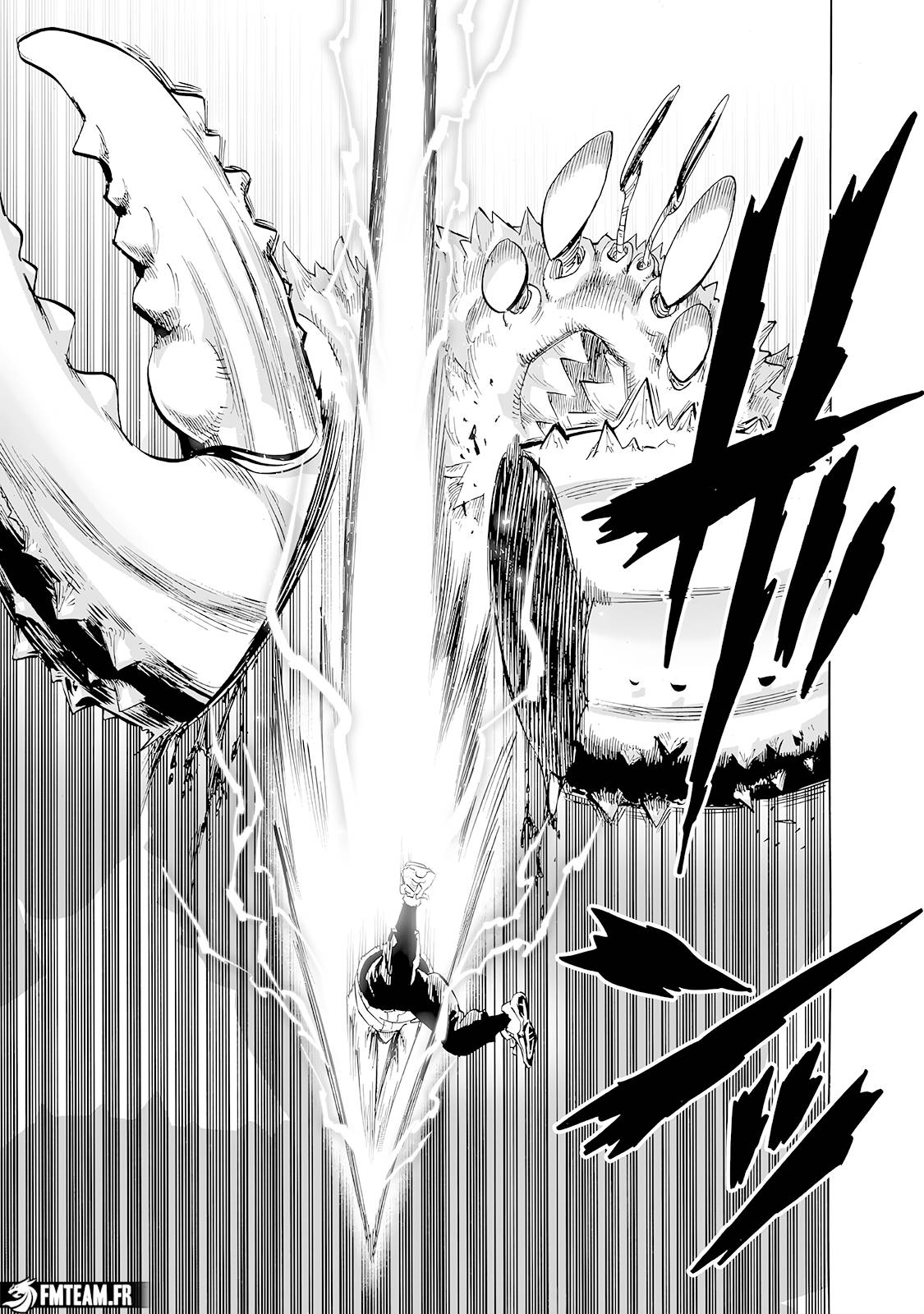 Lecture en ligne One Punch Man 223 page 11