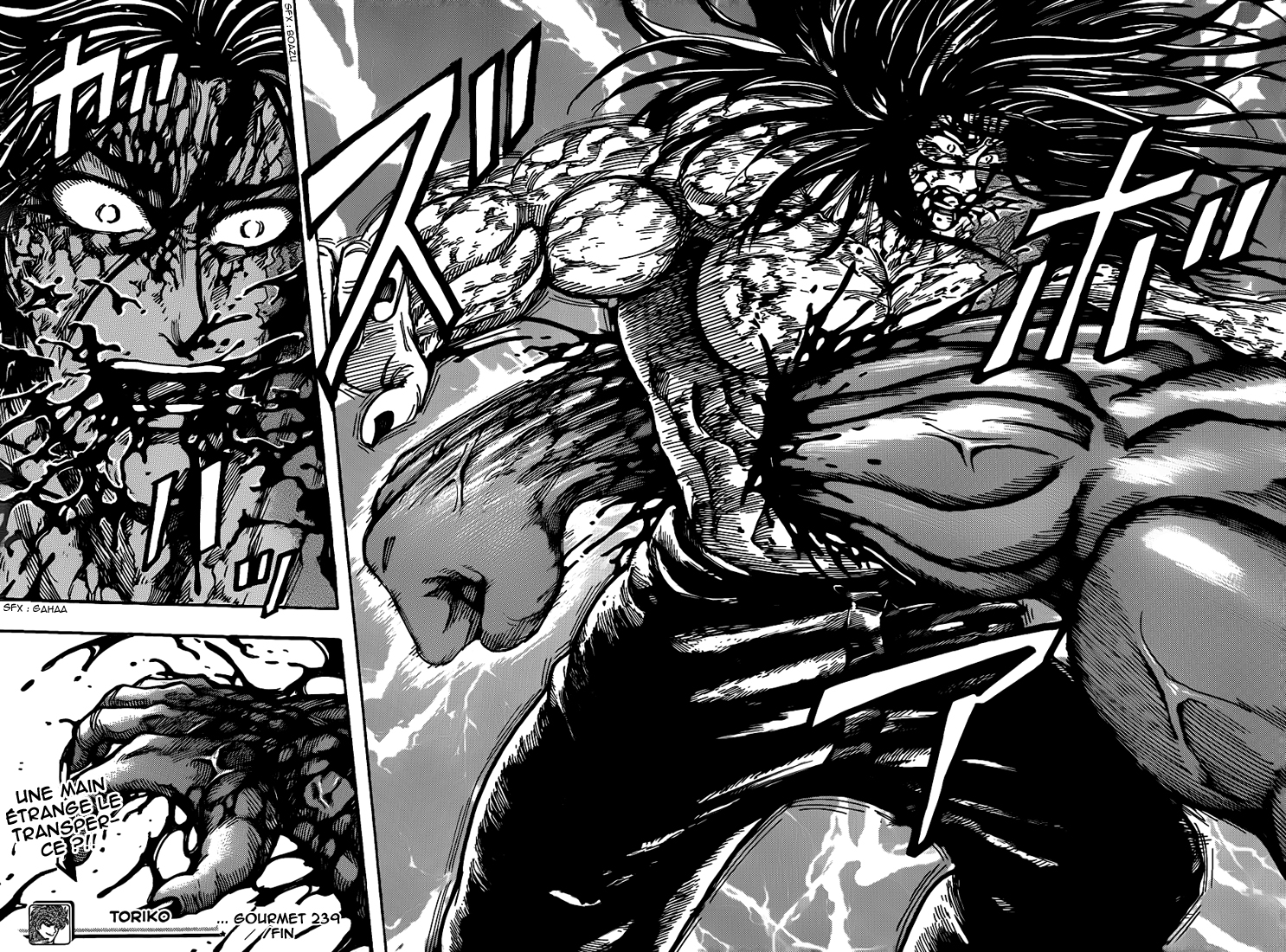 lecture en ligne Toriko 239 page 17