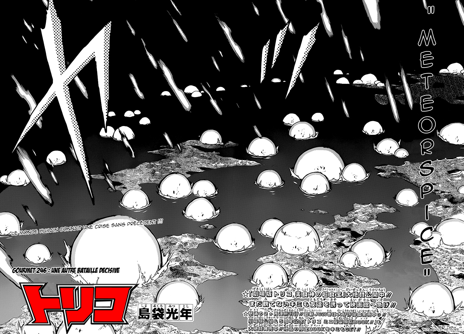 Lecture en ligne Toriko 246 page 3