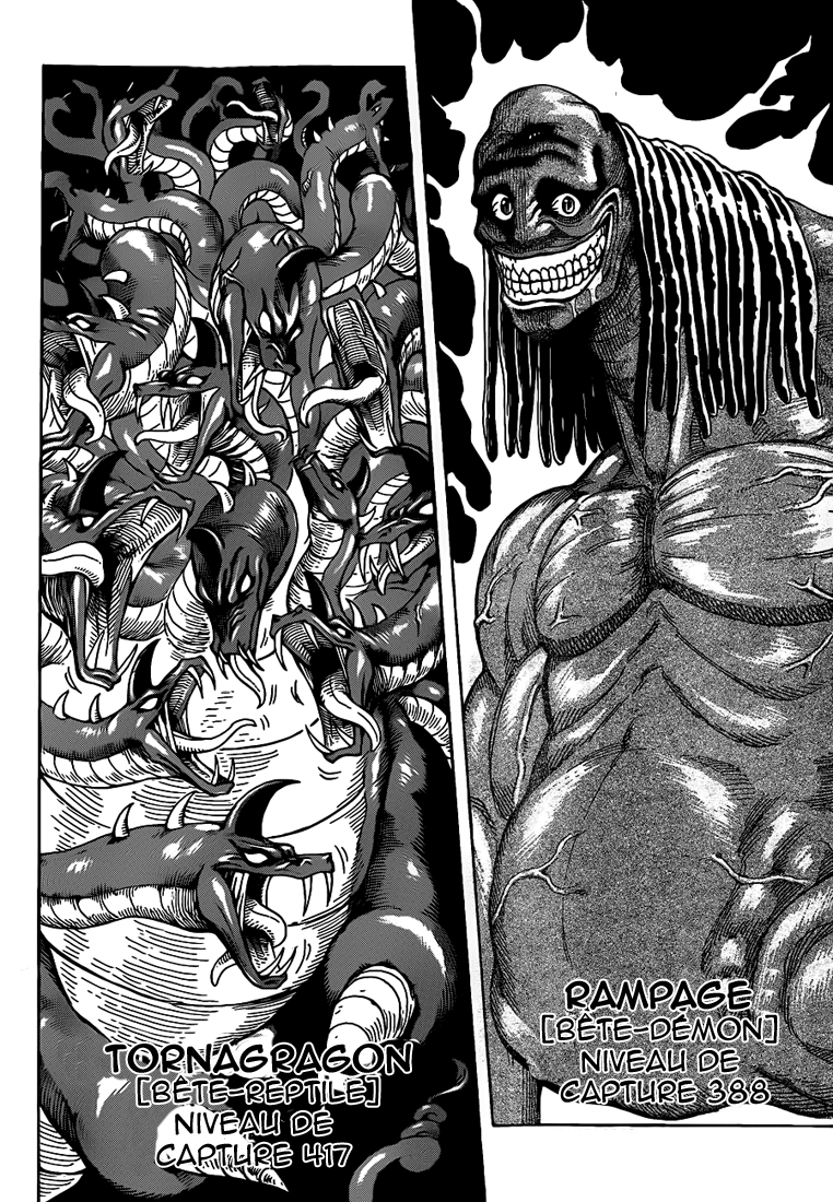Lecture en ligne Toriko 247 page 4
