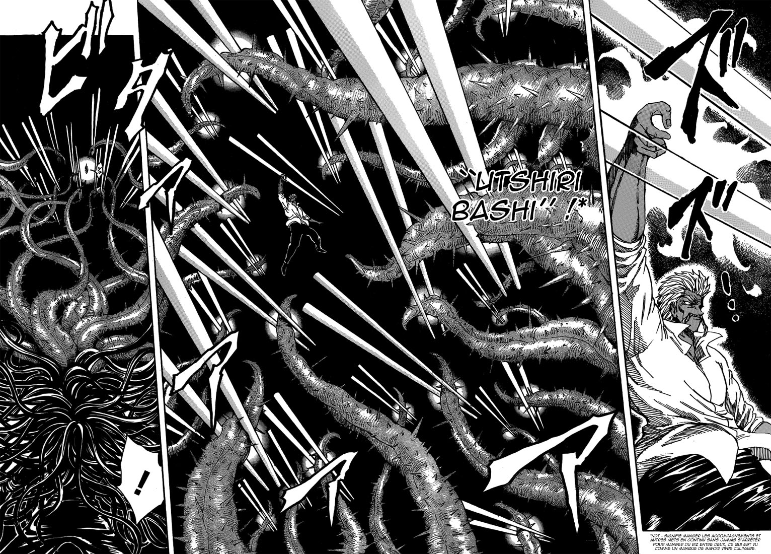 Lecture en ligne Toriko 248 page 12