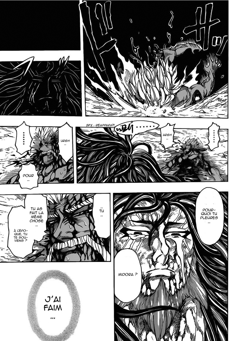 Lecture en ligne Toriko 254 page 14