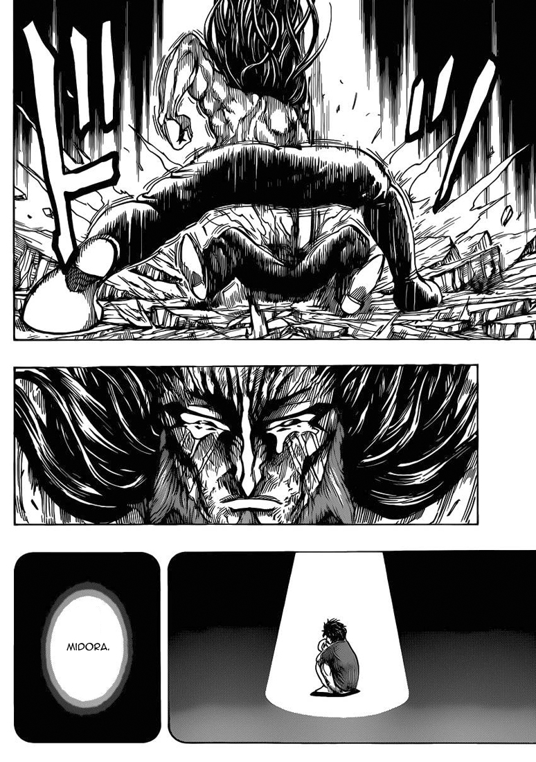 Lecture en ligne Toriko 254 page 17