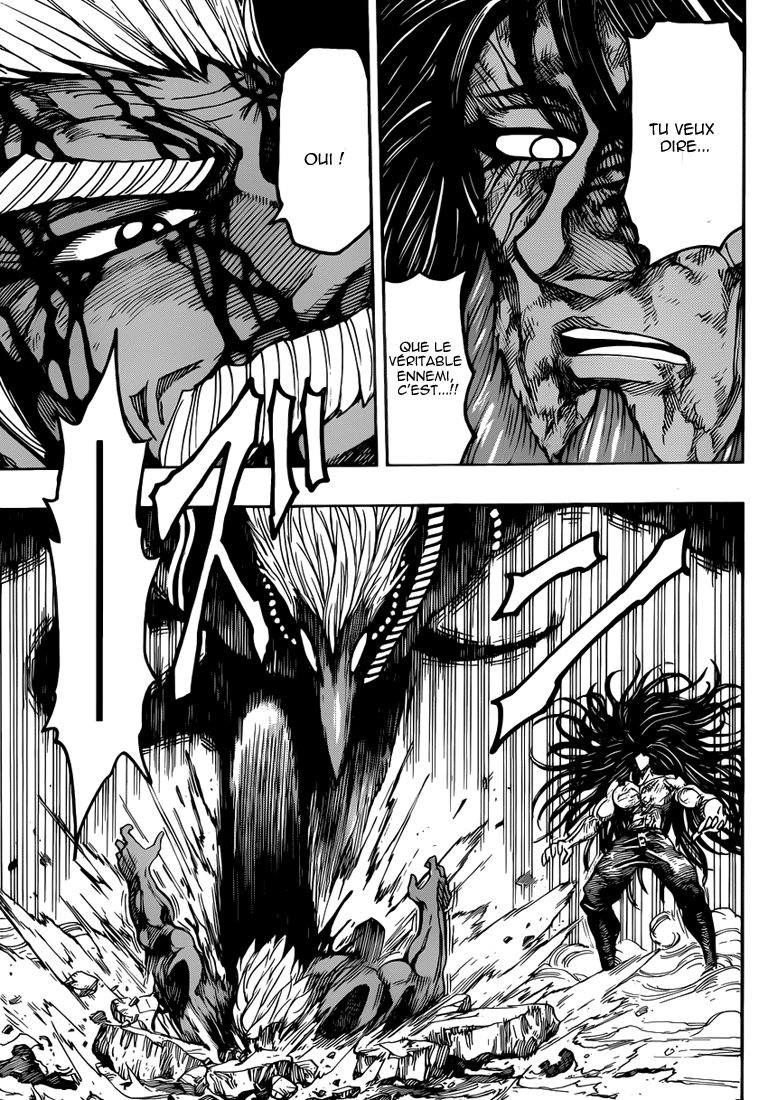 Lecture en ligne Toriko 256 page 17