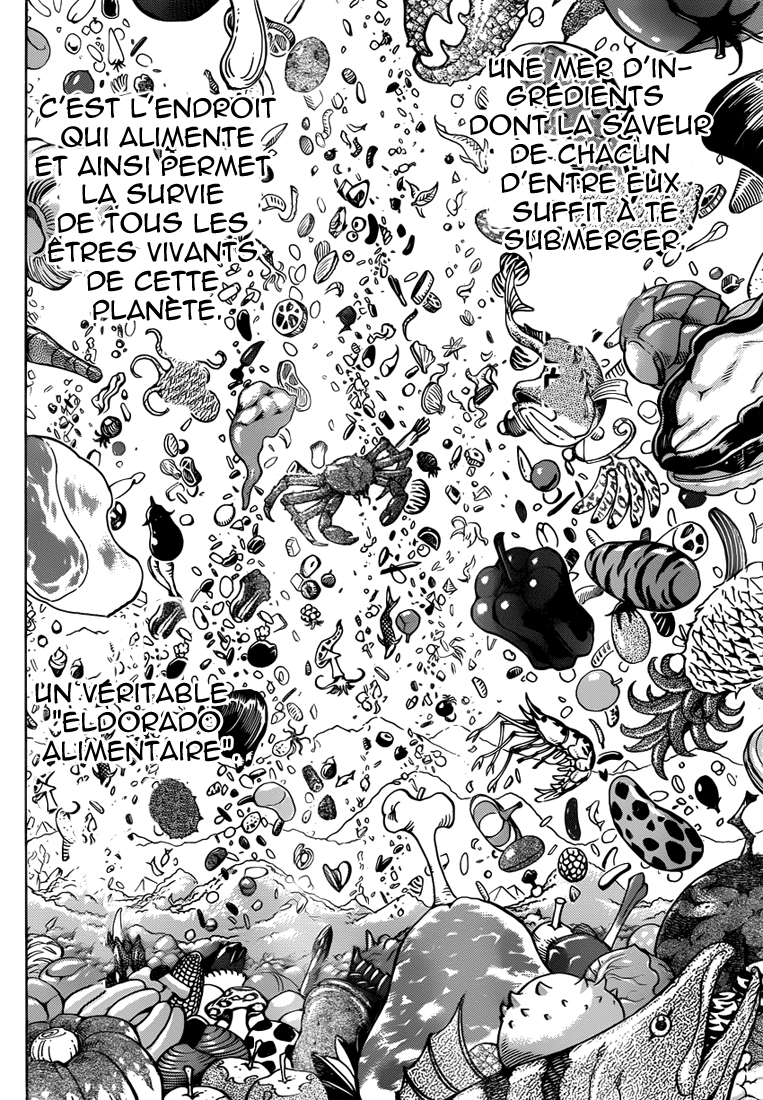 Lecture en ligne Toriko 259 page 13
