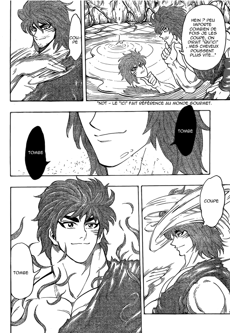 Lecture en ligne Toriko 264 page 17