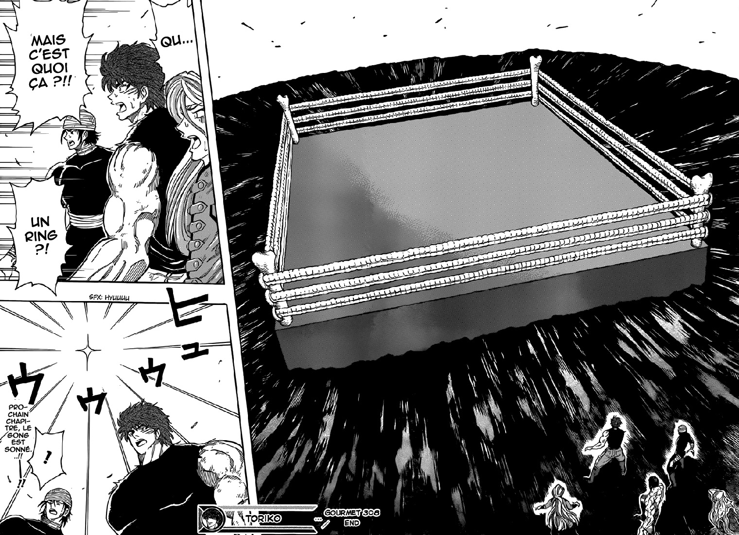 lecture en ligne Toriko 308 page 17