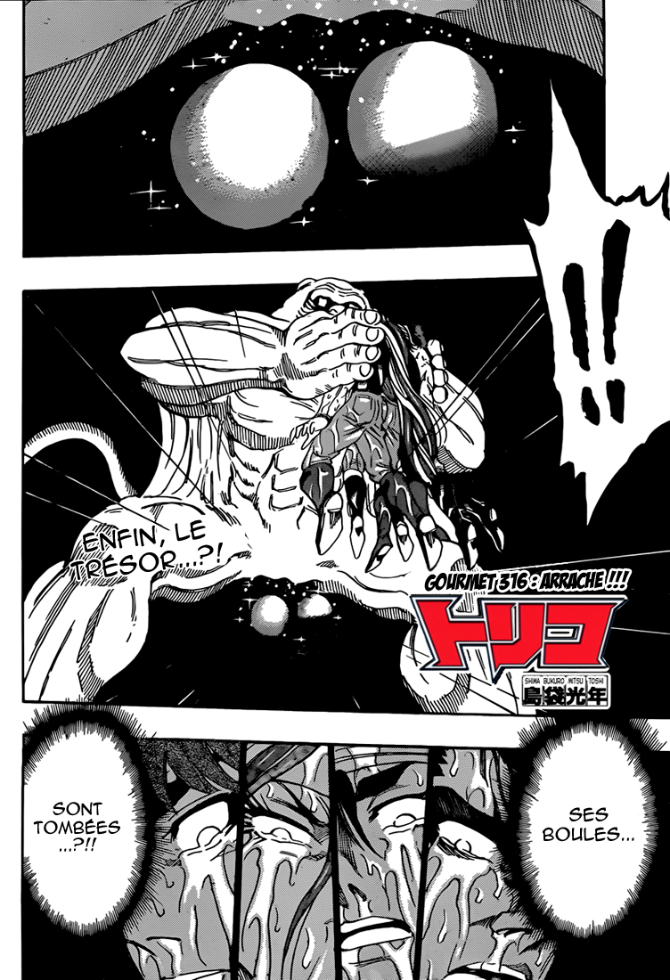 Lecture en ligne Toriko 316 page 3