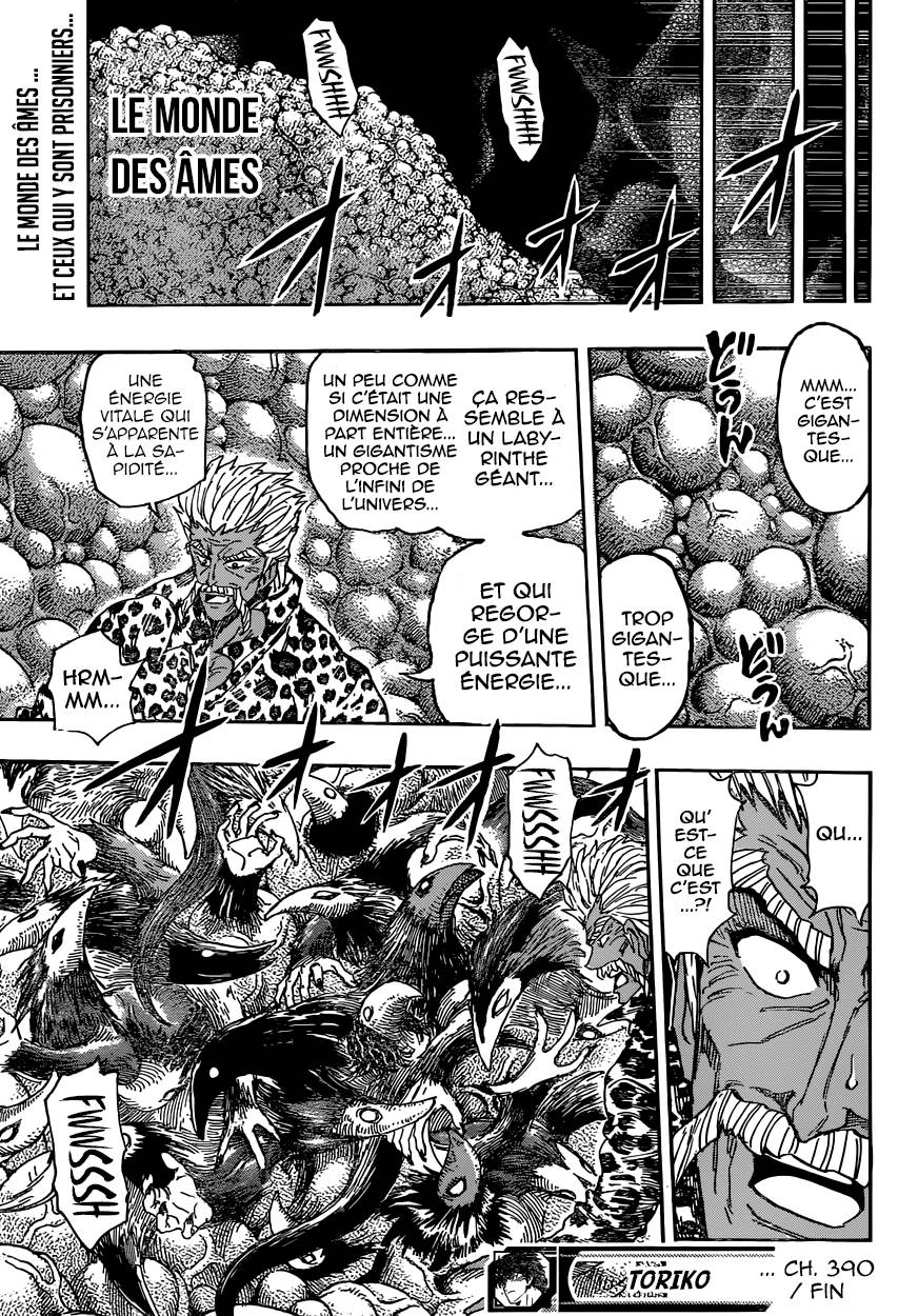 lecture en ligne Toriko 390 page 20